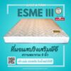 NakreeBrand ที่นอนสปริงเสริมยางพีอี รุ่น ESME SERIE 3