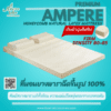 Nakree Latex ที่นอนยางพารา แบบฉีดขึ้นรูป ของแท้ 100% ทั้งก้อน รุ่น PREMIUM AMPERE (FIRM)