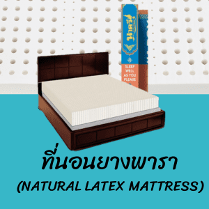 ที่นอนยางพารา