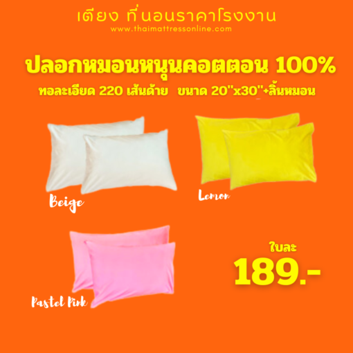 (พร้อมส่ง) ปลอกปลอกหมอนหนุน COTTON100% (สีพื้น+มีลิ้น) ขนาด มาตรฐาน  20”x30”x6”