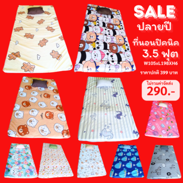 ล้างสต็อค ที่นอนปิคนิค 3.5ขนาด 2.5 นิ้ว (ถอดซักได้)
