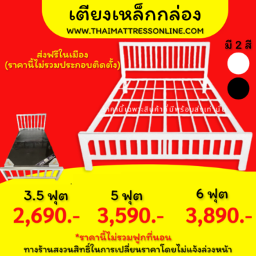 SALE เตียงเหล็กกล่อง รุ่น EASY MINIMAL ราคาโรงงาน (ขาว-ดำ)